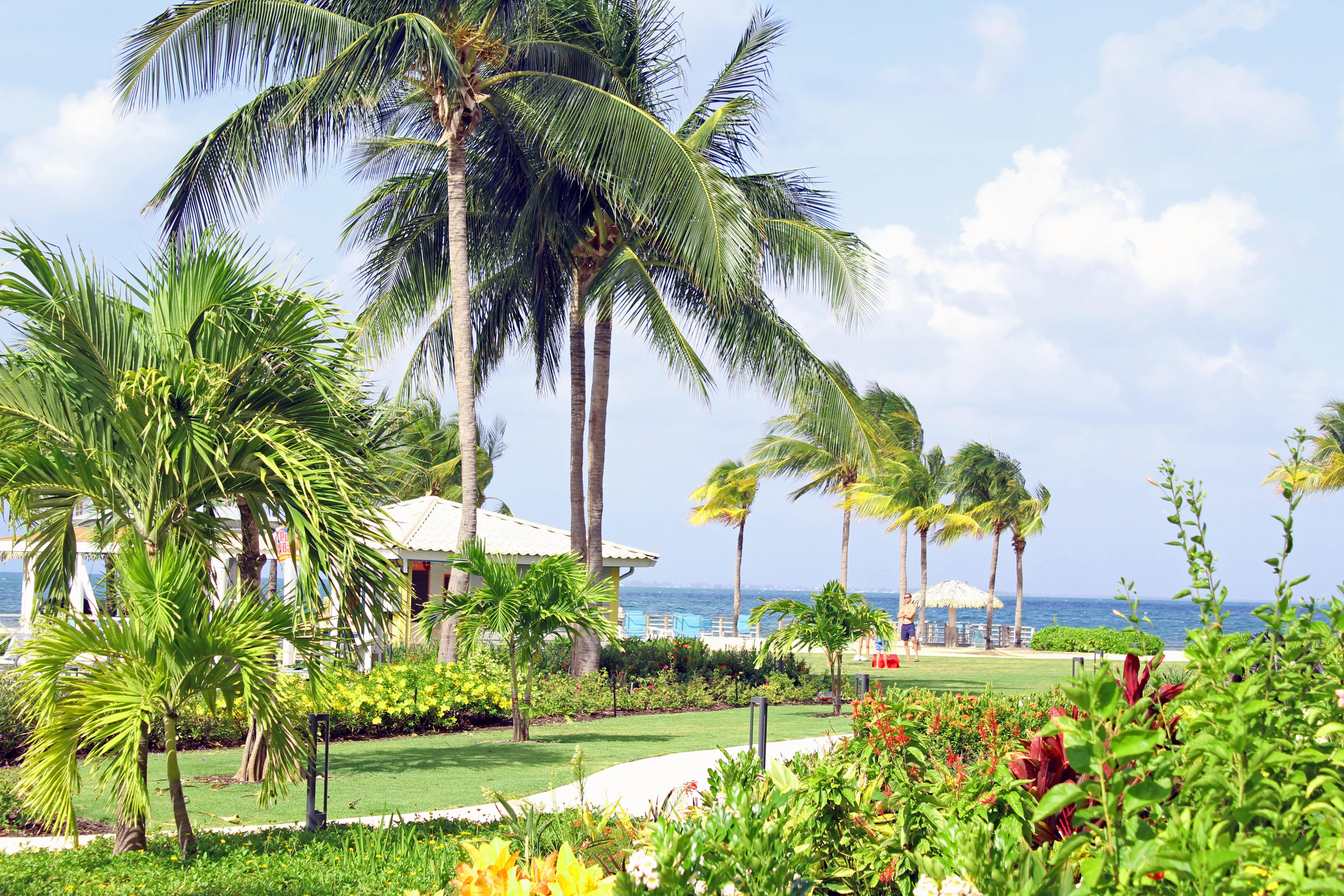 The Grand Caymanian Resort George Town Eksteriør billede